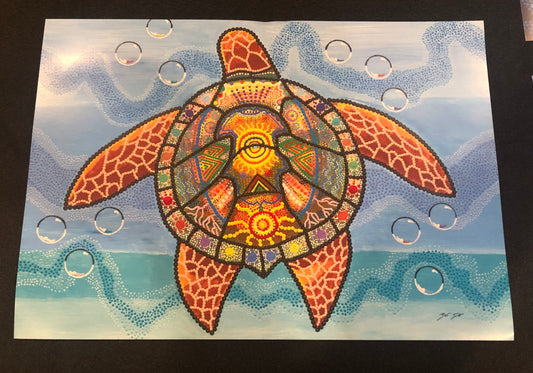 Murray’s Turtle - Print
